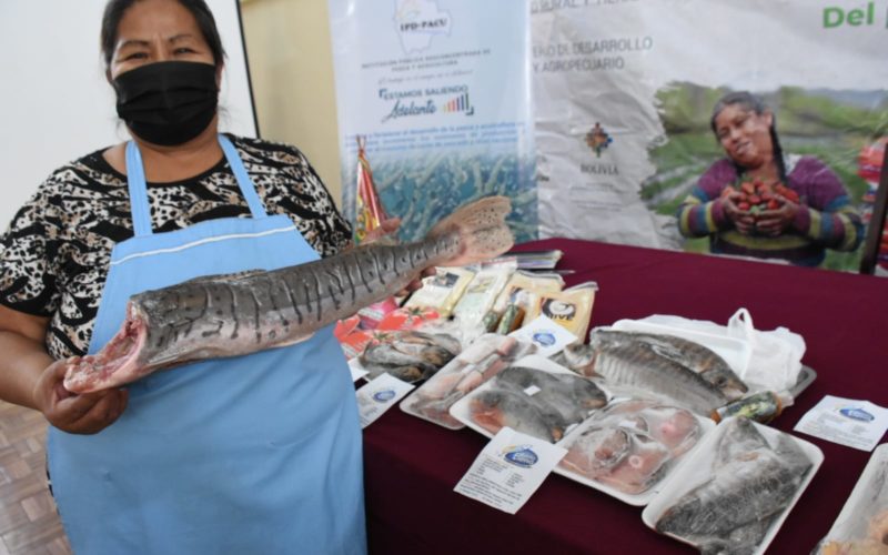 Ferias Del Campo A La Olla Ofertan Variedad De Pescado Hortalizas Y