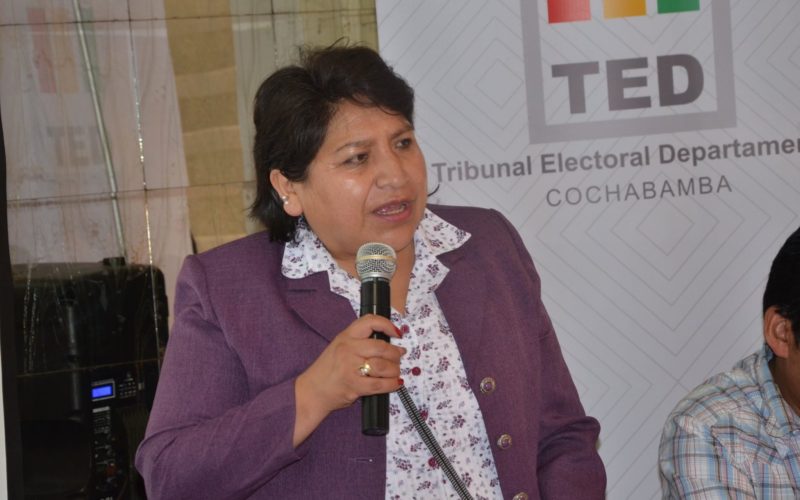 TSE perfila el 29 de octubre como posible fecha de las elecciones judiciales  