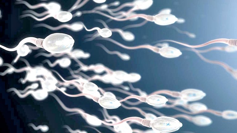 Crean un anticonceptivo para varones que funciona 24 horas