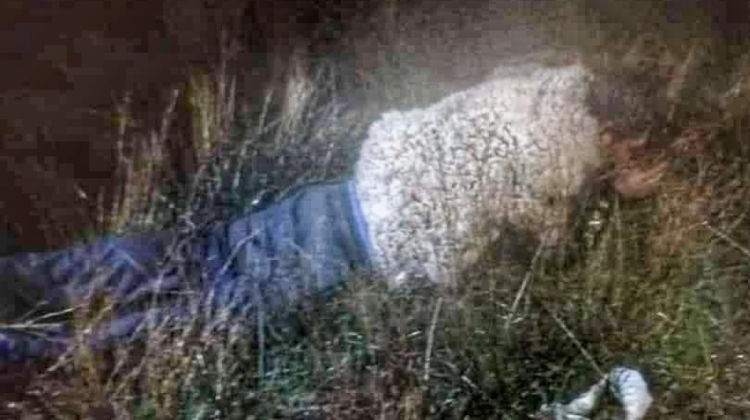 “El Araña” intentó fugar de la cárcel de Chonchocoro camuflándose de oveja