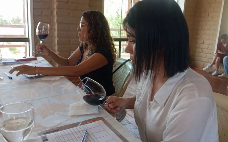 Enólogos destacan la calidad y el sabor de los vinos de Tarija
