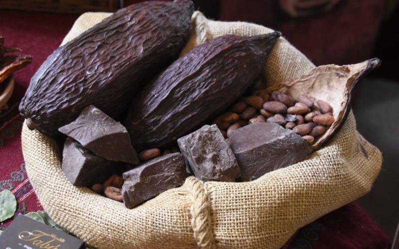 Bolivia exportó 121 t de cacao, tiene demanda de las “mejores industrias” de chocolatería del mundo