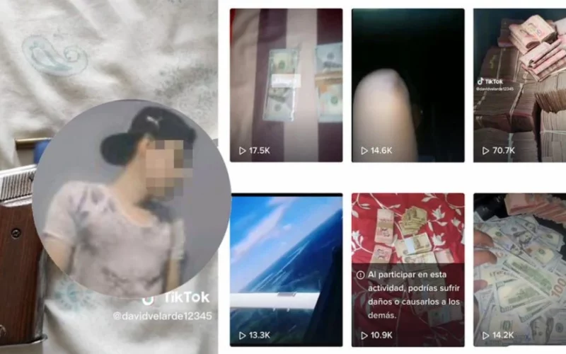 TikTok, la red social que viraliza videos sobre actividades ilícitas