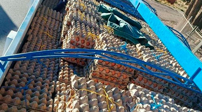 Detienen camión con 150.000 huevos que eran llevados a Perú; Gobierno apunta al contrabando