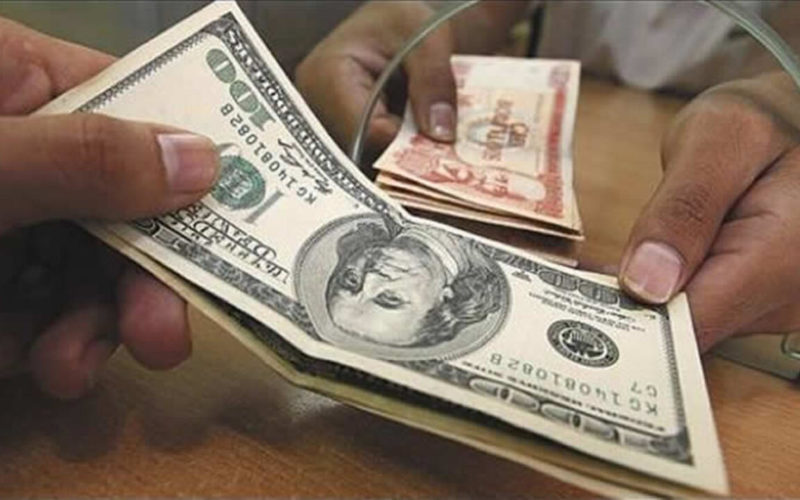 Arce asegura que el problema de liquidez de dólares será superado y llama a fortalecer la bolivianización