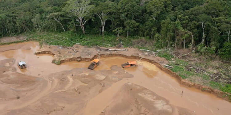Tacanas denuncian actividad minera ilegal y desmonte de selva amazónica