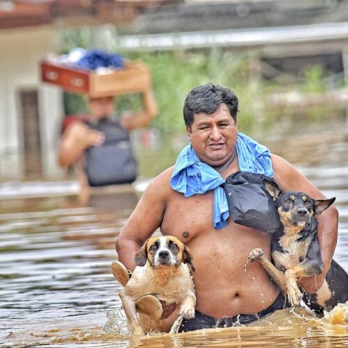 Cobija registra la mayor inundación de su historia