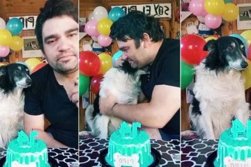 Festejó los 14 años de su perro en San Valentín y su emotivo mensaje conmovió a todos en las redes