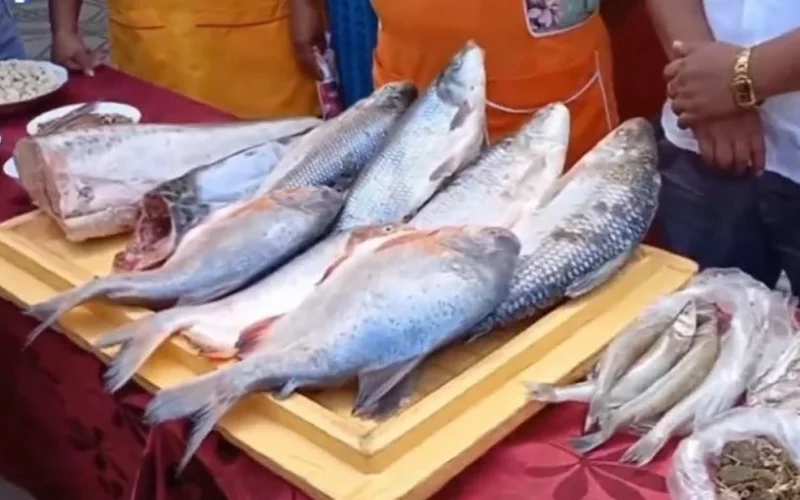 Invitan a la feria del pescado en el mercado El Dorado de Tarija