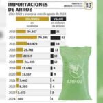 Bolivia importó arroz por un valor de 146 millones de dólares entre 2013 y 2023