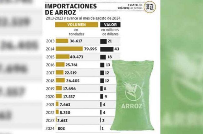 Bolivia importó arroz por un valor de 146 millones de dólares entre 2013 y 2023