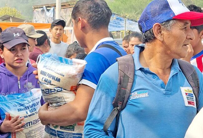 Productores dicen que el arroz nacional se acabará en un mes