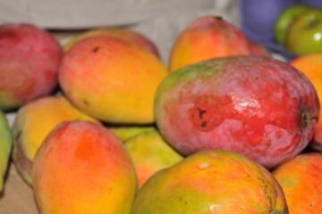 El mango boliviano entra en el mercado argentino y pone en jaque a la producción en Jujuy