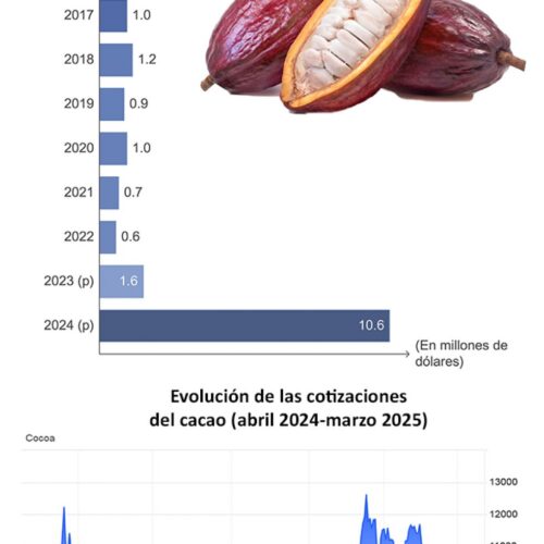 Exportaciones de cacao se dispararon un 562,5% en 2024