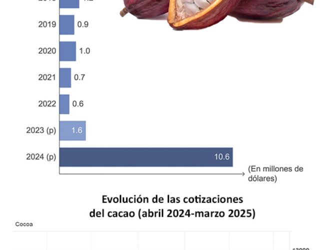 Exportaciones de cacao se dispararon un 562,5% en 2024